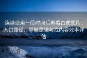 连续使用一段时间后再看白虎图片：入口路径、导航逻辑与找内容效率评估