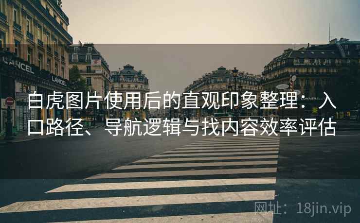 白虎图片使用后的直观印象整理：入口路径、导航逻辑与找内容效率评估