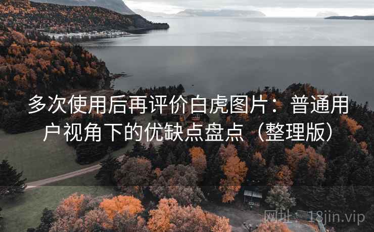 多次使用后再评价白虎图片：普通用户视角下的优缺点盘点（整理版）