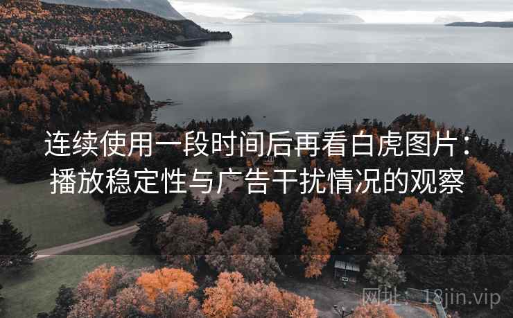 连续使用一段时间后再看白虎图片：播放稳定性与广告干扰情况的观察