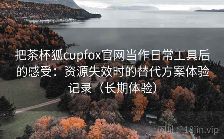 把茶杯狐cupfox官网当作日常工具后的感受：资源失效时的替代方案体验记录（长期体验）