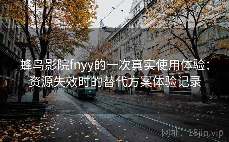 蜂鸟影院fnyy的一次真实使用体验：资源失效时的替代方案体验记录