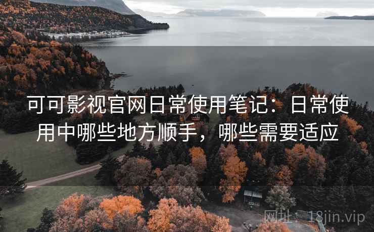 可可影视官网日常使用笔记：日常使用中哪些地方顺手，哪些需要适应