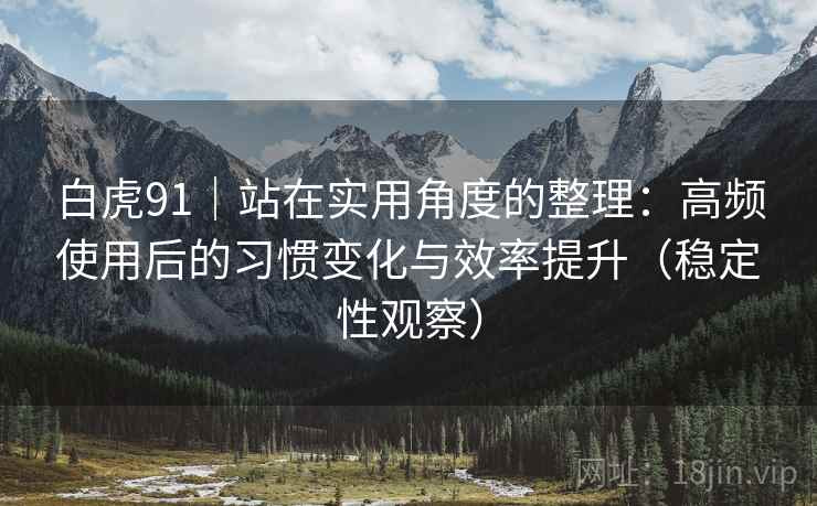 白虎91｜站在实用角度的整理：高频使用后的习惯变化与效率提升（稳定性观察）