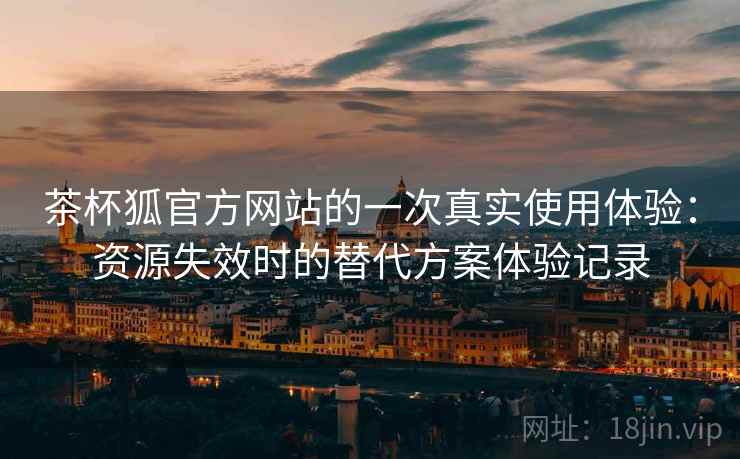 茶杯狐官方网站的一次真实使用体验：资源失效时的替代方案体验记录