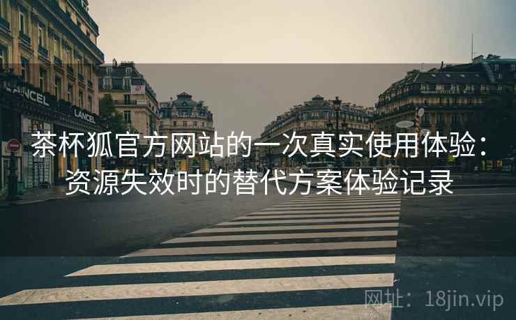 茶杯狐官方网站的一次真实使用体验：资源失效时的替代方案体验记录